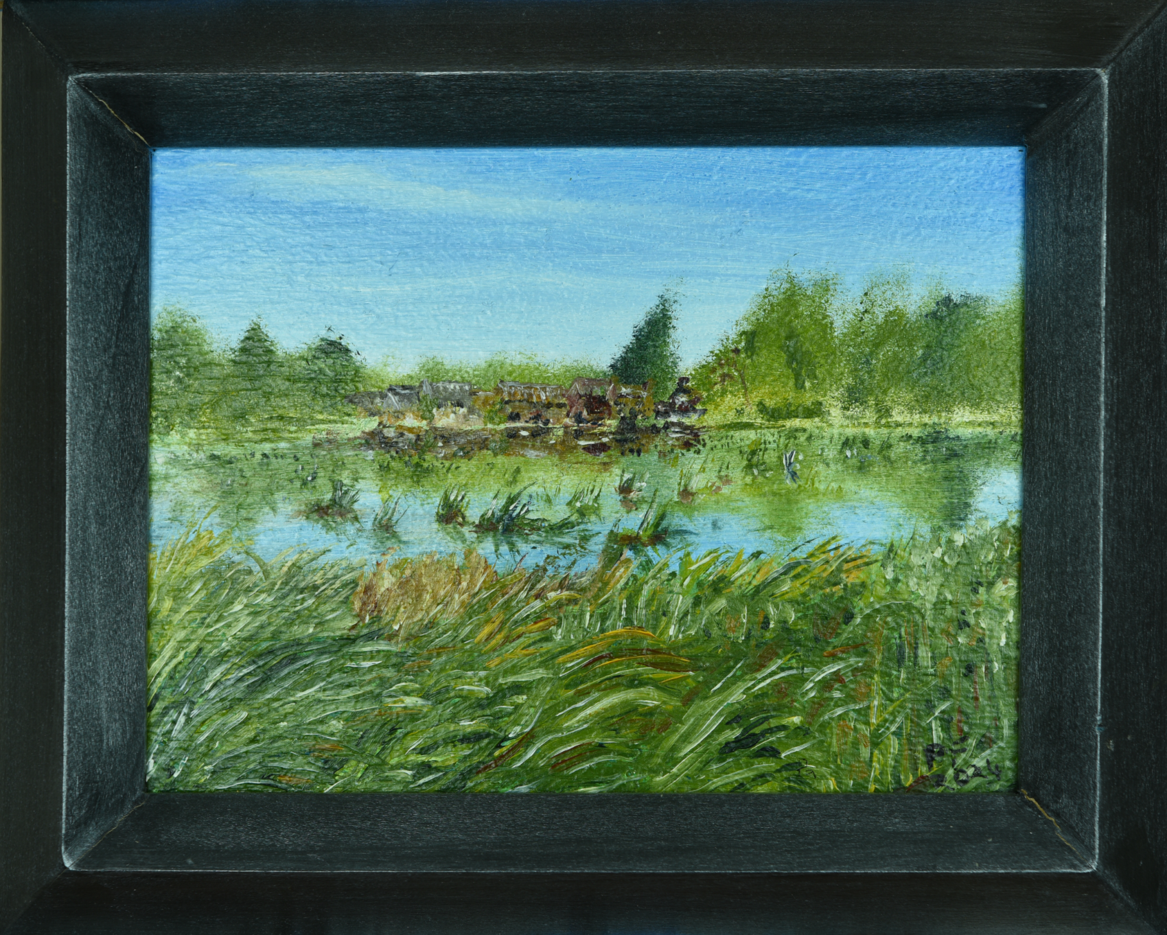 River Ouzel Sketch Series #3