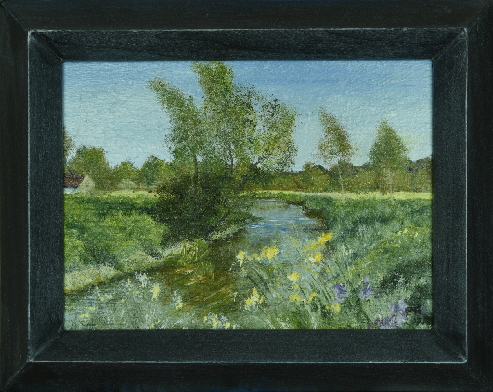 River Ouzel Sketch Series #4