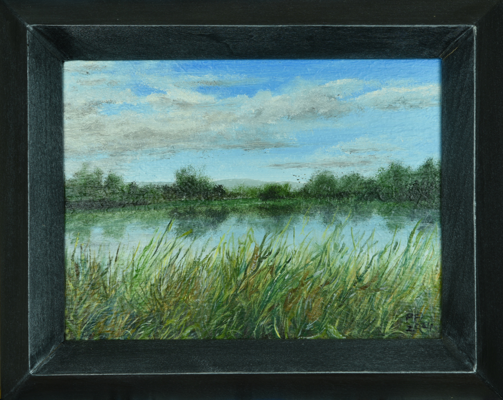 Title: River Ouzel Sketch Series #5