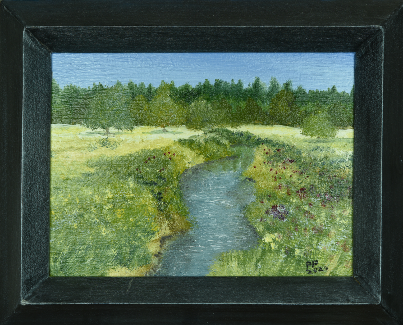 River Ouzel Sketch Series #8