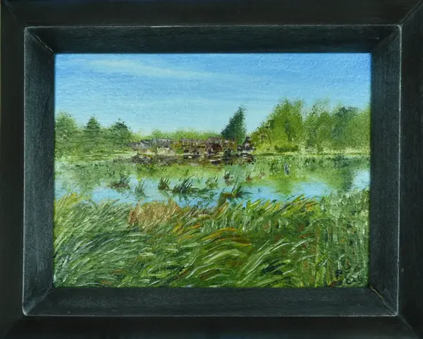 River Ouzel Sketch Series #3